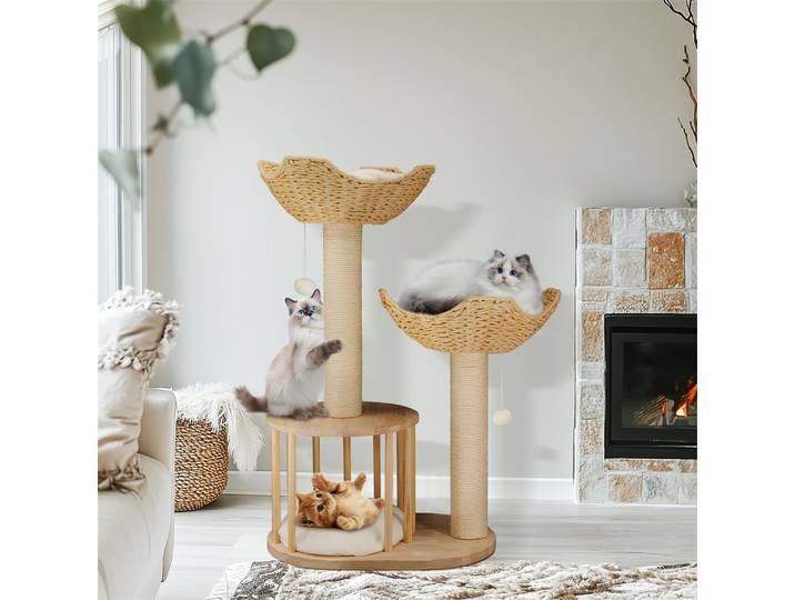 Arbre d'escalade à 3 niveaux pour chats, tour de centre d'activités pour chatons d'intérieur avec griffoir, meubles pour chats
