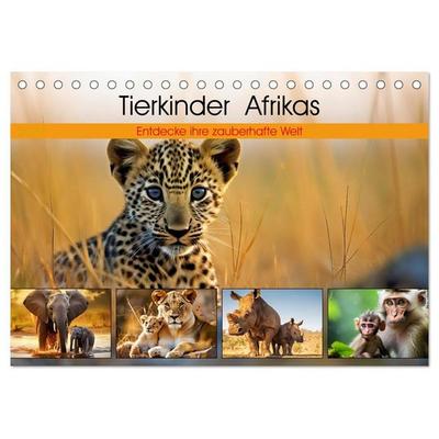 Tierkinder Afrikas - Entdecke ihre zauberhafte Welt (Tischkalender 2027 DIN A5 quer), CALVENDO Monatskalender