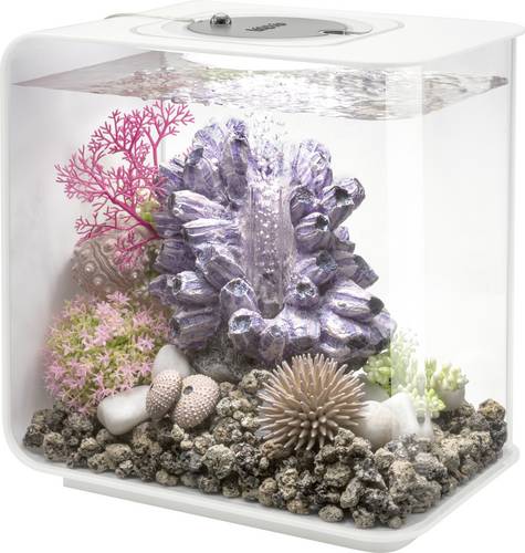 Oase 72030 biOrb FLOW 15 LED weiß Aquarium 15l mit LED-Beleuchtung