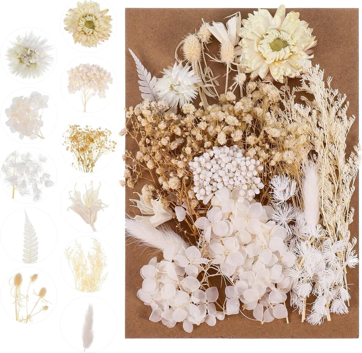 Gedroogde Bloemen Mix - Natuurlijke Decoratie - Echte Geperste Bloemen - 1 Pak - Beige