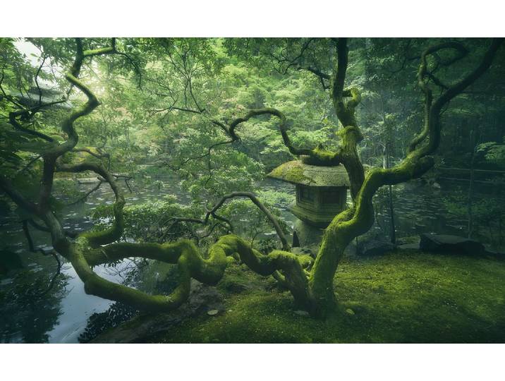 Fototapete PAPERMOON Photo-Art JAVIER DE LA, JAPANISCHER BAUM , bunt, B:4,5m L:2,8m, Vlies, Tapeten, Fototapete
