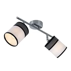 LED Deckenleuchte 2 Flammig grau Deckenlampe dimmbar mit Fernbedienung Wohnzimmerlampe grau, RGB Farbwechsel, Spots schwenkbar, Metall, 2x 4,8W 2x 470lm warmweiß, LxBxH 51x10x21,5 cm