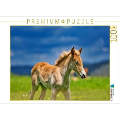 CALVENDO Puzzle Haflinger Fohlen | 1000 Teile Lege-Größe 64x48cm Foto-Puzzle für glückliche Stunden