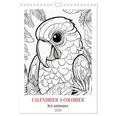 Calendrier à colorier (Calendrier mural 2026 DIN A4 horizontal), CALVENDO calendrier mensuel