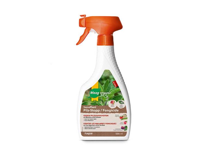 Maag SanoPlant Spray gegen Pilzkrankheiten 500 ml