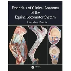 Essentials in Clinical Anatomy of the Equine Locomotor System, Ratgeber von Jean-Marie Denoix