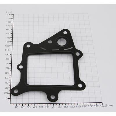 TRISCAN Dichtung 88139911 für Fiat