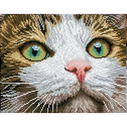 DIAMOND DOTZ - Diamond Painting - Katze mit grünen Augen