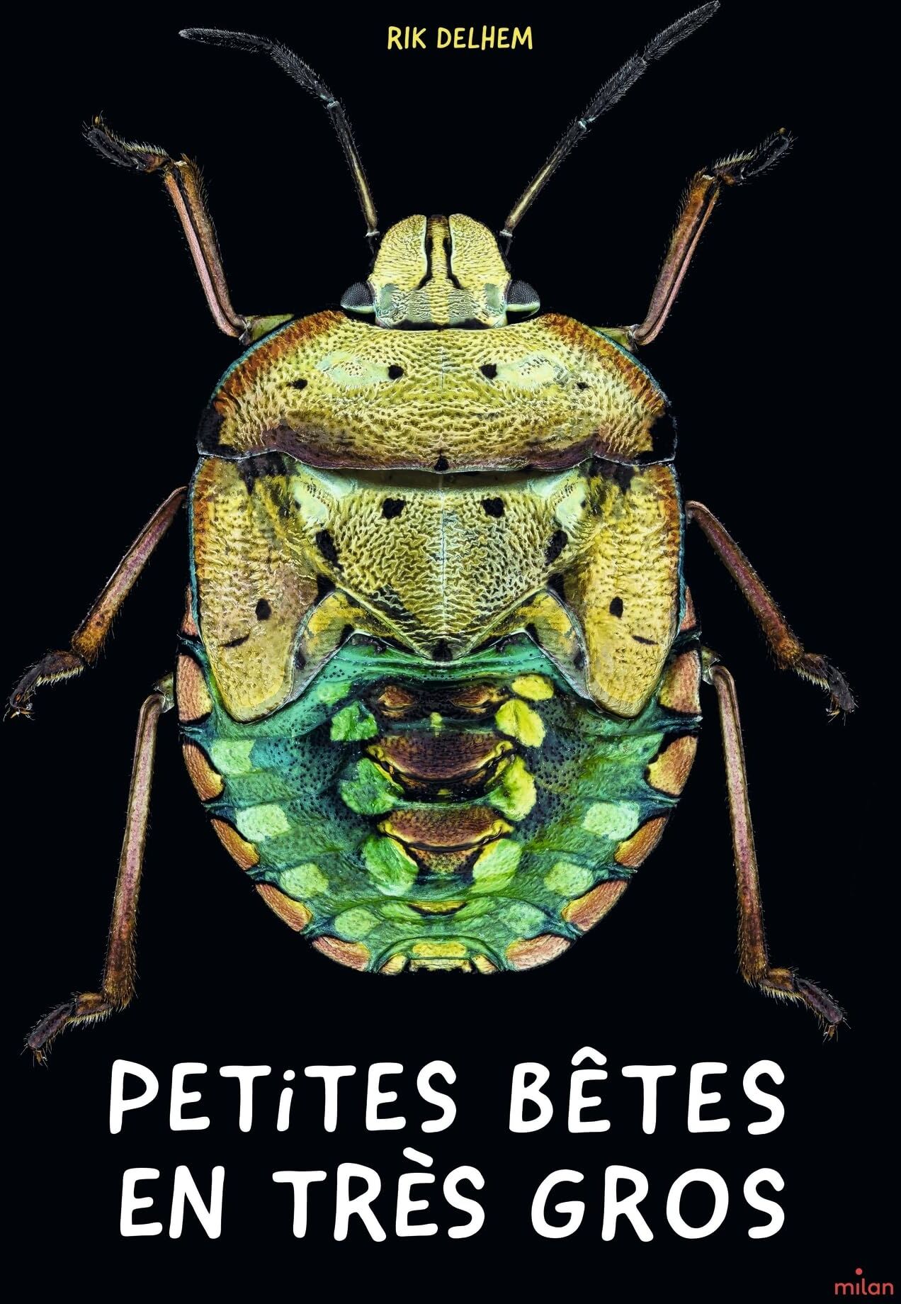 Rik Delhem - Petites bêtes en très gros - Preis vom 11.10.2026 03:10:56 h