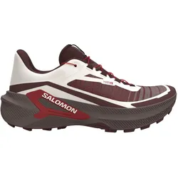 Salomon Herren Genesis 2 braun 45.3