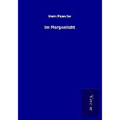 Im Morgenlicht, Taschenbuch von Hans Paasche, BoD - Books on Demand