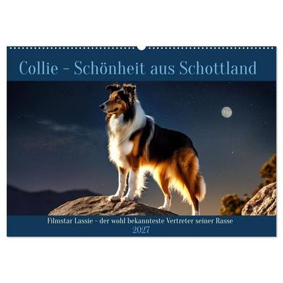Traumhund Collie (Wandkalender 2027 DIN A2 quer), CALVENDO Monatskalender