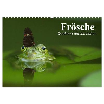 Frösche. Quakend durchs Leben (Wandkalender 2027 DIN A2 quer), CALVENDO Monatskalender