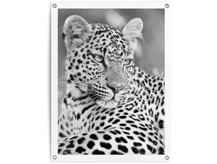 Tuinposter Luipaard - 80 x 60 - Canvas - REINDERS