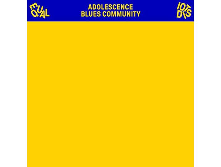 Equal Idiots - Adolescence Blues Community