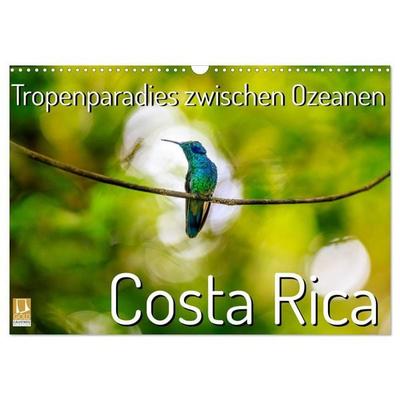 Tropenparadies zwischen Ozeanen Costa Rica (Wandkalender 2027 DIN A3 quer), CALVENDO Monatskalender
