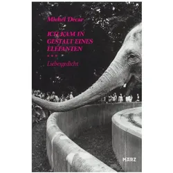 Ich kam in Gestalt eines Elefanten, Belletristik von Michel Decar