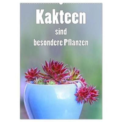 Kakteen sind besondere Pflanzen (Wandkalender 2027 DIN A2 hoch), CALVENDO Monatskalender