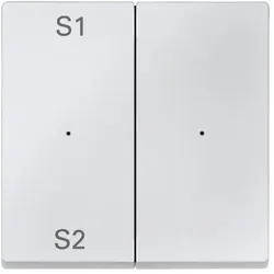 Merten Wippen für Taster-Modul 2fach PlusLink (Szene1/2, blank)