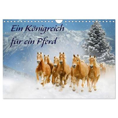 Ein Königreich für ein Pferd (Wandkalender 2027 DIN A4 quer), CALVENDO Monatskalender