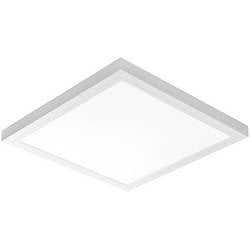 FLUOLITE 88110040 LED-Deckenleuchte, LED-Wandleuchte