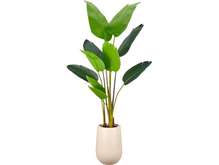 Kunstpflanze CREATIV GREEN Strelitzia nicolai , grün, H:170cm, Obermaterial: 100% Kunststoff, Kunstpflanzen, Kunstpflanze, in beeindruckender Größe