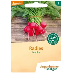 Bingenheimer Saatgut Radies Marike demeter
