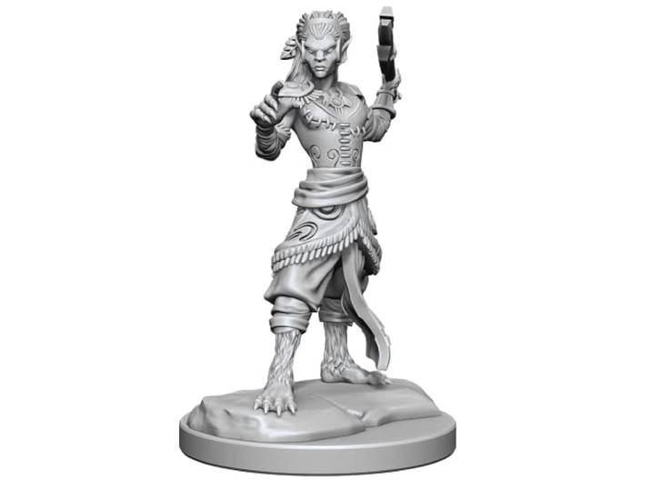 Wizkids D&D Nolzurs Prachtige Shifter Fighter Miniaturen