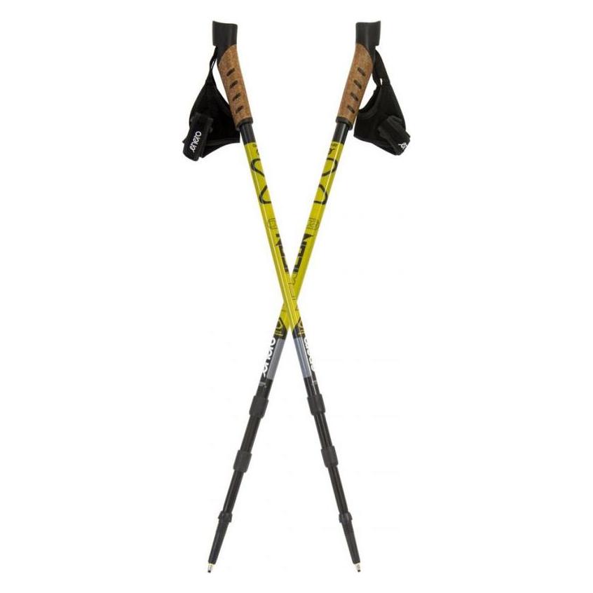 Victoria Nordic-Walking-Stöcke und Abdeckung (GS247924)