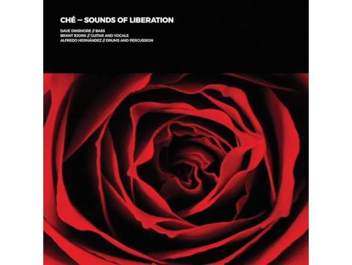 Sounds of Liberation (White/Red)