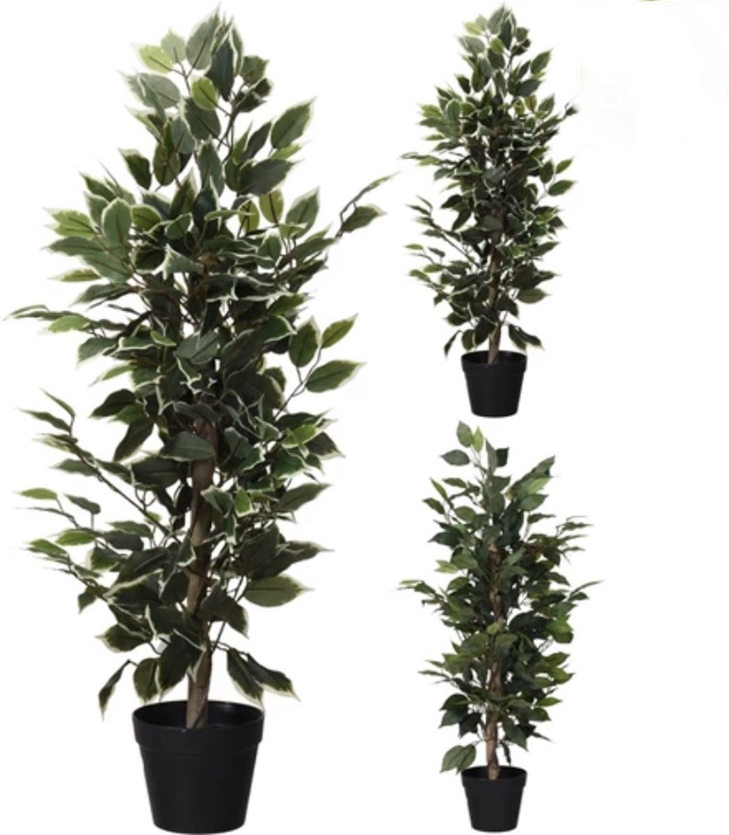 Kunstplant Ficus - 95 cm