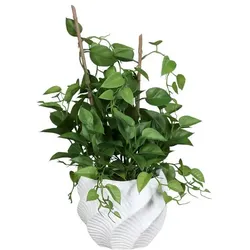 Kunstpflanze Philo 45 cm Kunststoff Grün