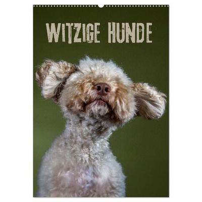 Witzige Hunde (Wandkalender 2027 DIN A2 hoch), CALVENDO Monatskalender