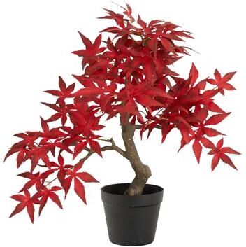 Nearly Natural "20"" Autumn Maple Bonsai"
