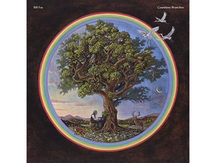 Bill Fay - Countless Branches (Deluxe Edition)