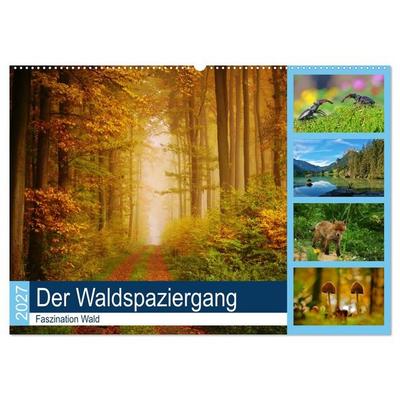 Der Waldspaziergang (Wandkalender 2027 DIN A2 quer), CALVENDO Monatskalender
