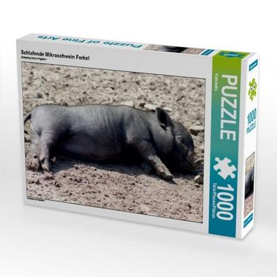 CALVENDO Puzzle Schlafende Mikroschwein Ferkel | 1000 Teile Lege-Größe 64x48cm Foto-Puzzle für glückliche Stunden
