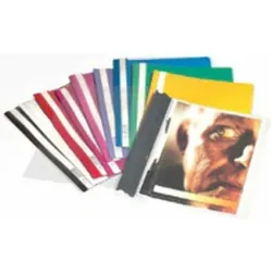 Durable, Mappe, SICHTHEFTER 50 ST 257006 (A4, 50x)