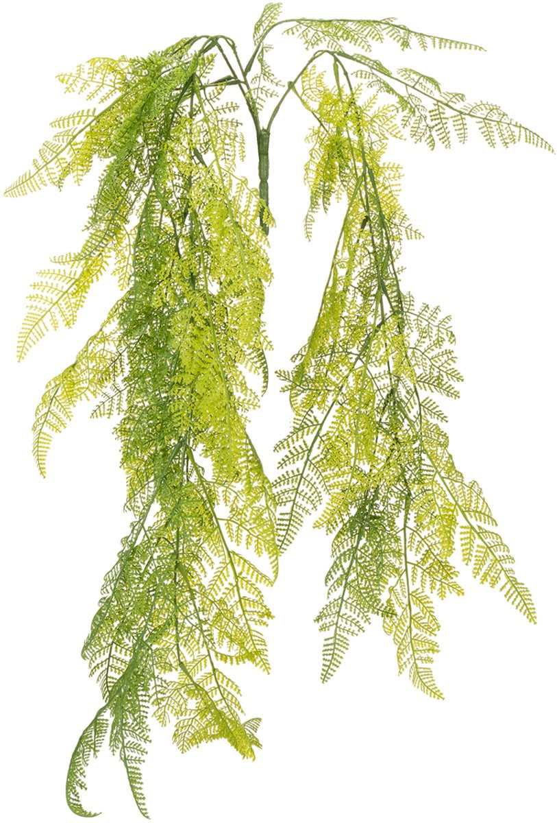 Kaemingk Kunstmatige hangplant varen groen