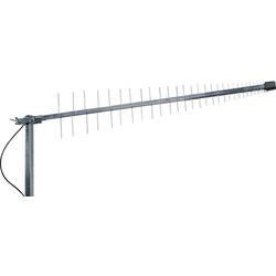 Wittenberg Antennen LAT 60 Richtantenne GSM, UMTS, WiFi, LTE, 5G Poly-103335