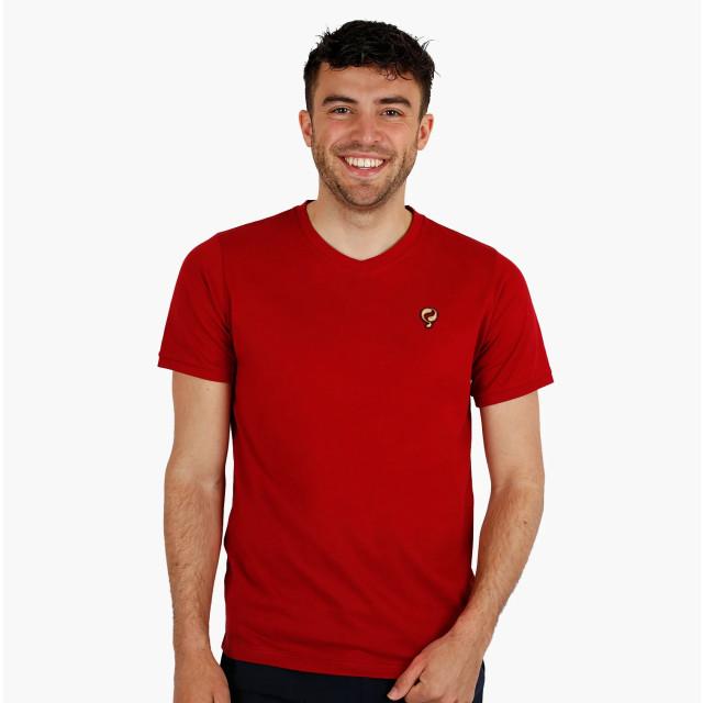 Q1905 T-shirt maasdam donker