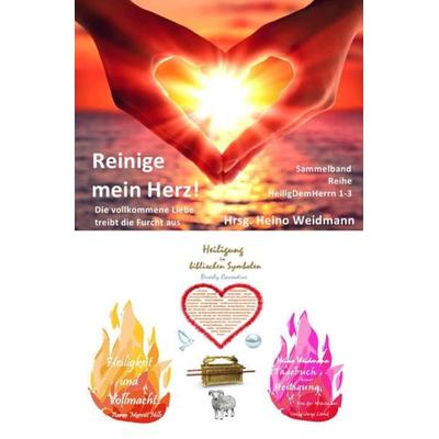 Heilig Dem Herrn / Reinige mein Herz!, Taschenbuch von Aaron Merritt Hills, Epubli, 978-3-7467-2500-0