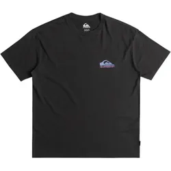 Quiksilver Take Us Back Logo SS T-Shirt - schwarz