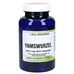 YAMSWURZEL 500 mg GPH Kapseln 120 St