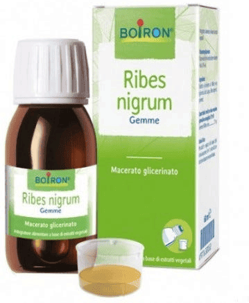 Boiron Ribes Nigrum Gemme Macerato Glicerico 60 ml