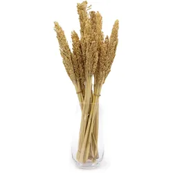 Cantal Grass Bunch - Natural