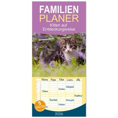 Familienplaner 2026 - Kitten auf Entdeckungsreise mit 5 Spalten (Wandkalender, 21 x 45 cm) CALVENDO
