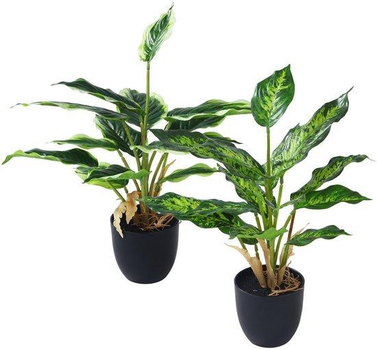 Unyqoos 2-delige set kunstplanten met zwarte potten