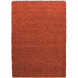 Teppich Hochflor Unifarben Polypropylen Wohnzimmer Shaggy Terrakotta Läufer 60x110 | Kadima Design