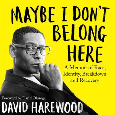 Maybe I Don't Belong Here - David Harewood, Audio, 9781529064162